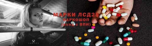 дживик Верея