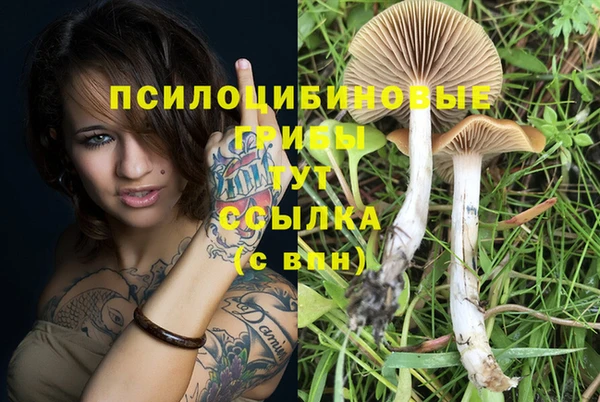 наркотики Верхний Тагил