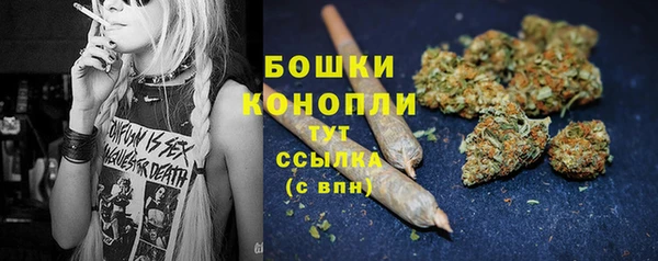 дживик Верея