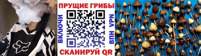Галлюциногенные грибы Cubensis  Нея 